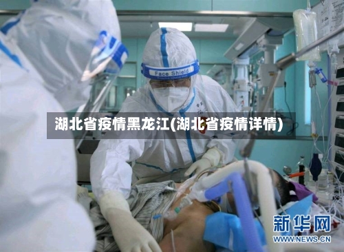 湖北省疫情黑龙江(湖北省疫情详情)-第2张图片