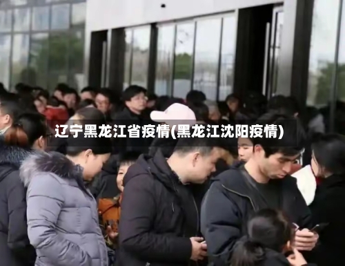 辽宁黑龙江省疫情(黑龙江沈阳疫情)-第2张图片