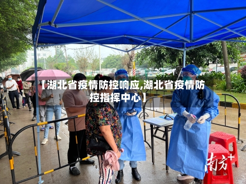 【湖北省疫情防控响应,湖北省疫情防控指挥中心】-第2张图片