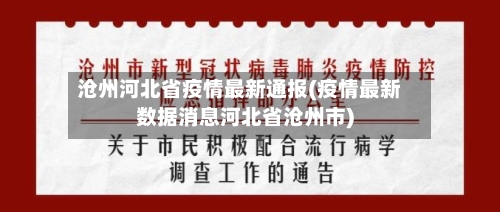沧州河北省疫情最新通报(疫情最新数据消息河北省沧州市)-第2张图片