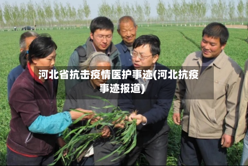 河北省抗击疫情医护事迹(河北抗疫事迹报道)-第1张图片