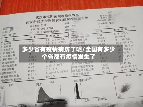 多少省有疫情病历了呢/全国有多少个省都有疫情发生了-第3张图片