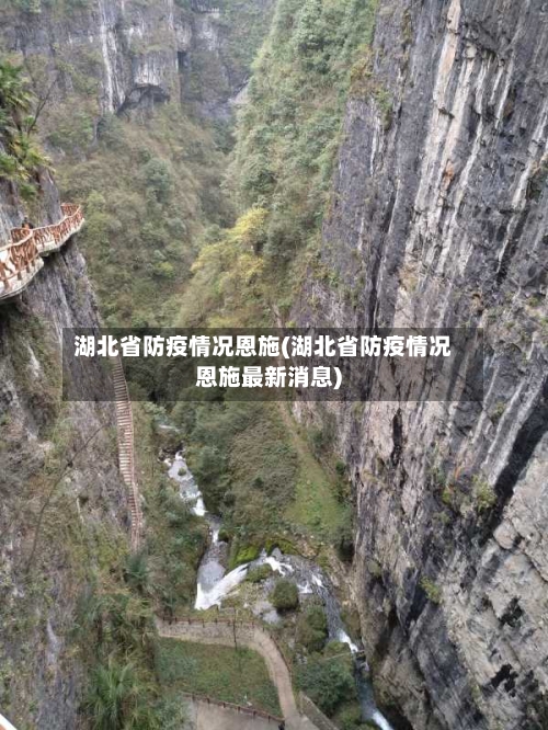 湖北省防疫情况恩施(湖北省防疫情况恩施最新消息)-第2张图片