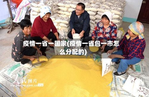 疫情一省一国家(疫情一省包一市怎么分配的)-第2张图片