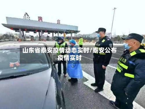 山东省泰安疫情动态实时/泰安公布疫情实时-第3张图片