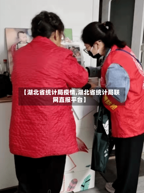 【湖北省统计局疫情,湖北省统计局联网直报平台】-第1张图片