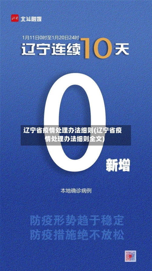 辽宁省疫情处理办法细则(辽宁省疫情处理办法细则全文)-第1张图片