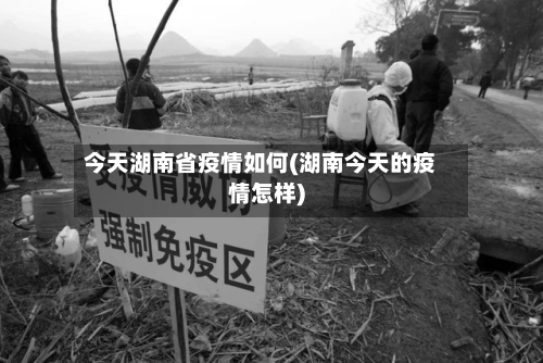 今天湖南省疫情如何(湖南今天的疫情怎样)-第3张图片