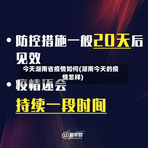 今天湖南省疫情如何(湖南今天的疫情怎样)-第2张图片