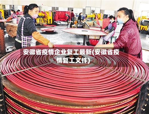 安徽省疫情企业复工最新(安徽省疫情复工文件)-第1张图片