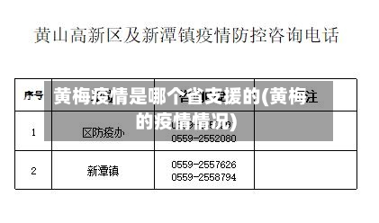 黄梅疫情是哪个省支援的(黄梅的疫情情况)-第1张图片