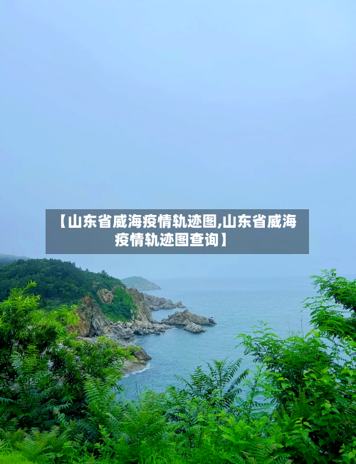 【山东省威海疫情轨迹图,山东省威海疫情轨迹图查询】-第2张图片