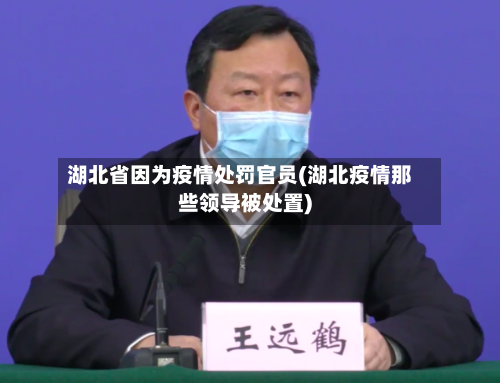 湖北省因为疫情处罚官员(湖北疫情那些领导被处置)-第1张图片
