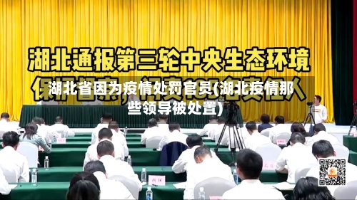 湖北省因为疫情处罚官员(湖北疫情那些领导被处置)-第2张图片