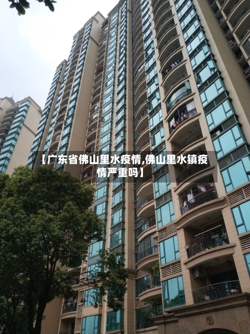 【广东省佛山里水疫情,佛山里水镇疫情严重吗】-第3张图片