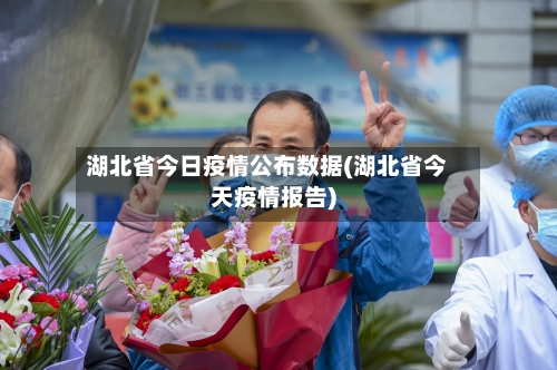 湖北省今日疫情公布数据(湖北省今天疫情报告)-第3张图片