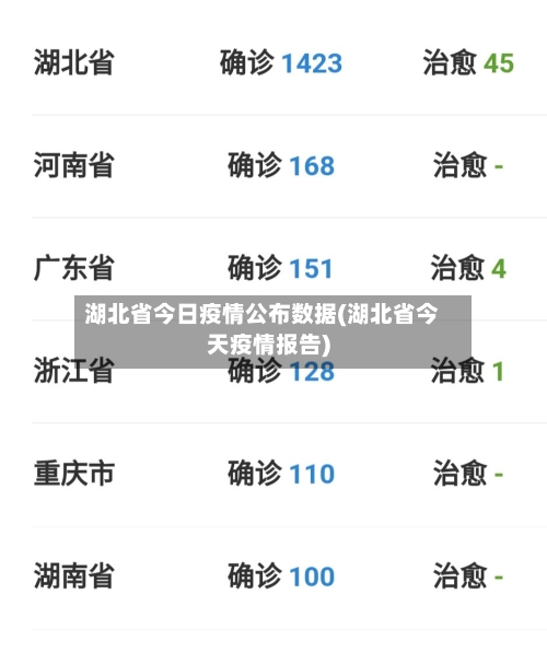 湖北省今日疫情公布数据(湖北省今天疫情报告)-第2张图片