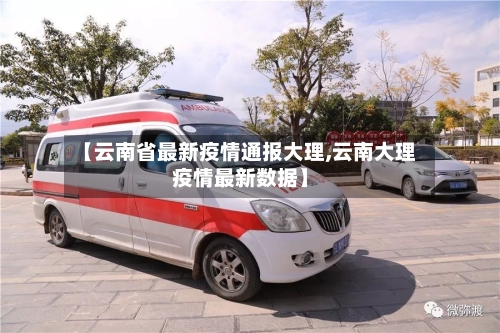 【云南省最新疫情通报大理,云南大理疫情最新数据】-第3张图片