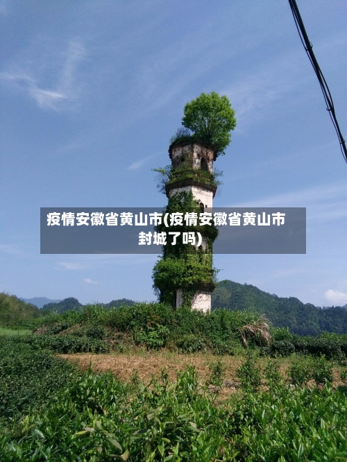 疫情安徽省黄山市(疫情安徽省黄山市封城了吗)-第2张图片