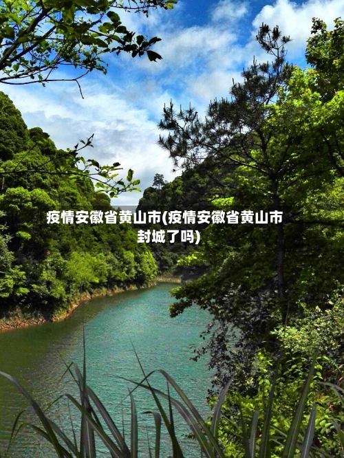 疫情安徽省黄山市(疫情安徽省黄山市封城了吗)-第3张图片
