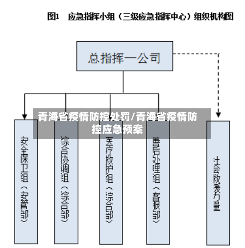 青海省疫情防控处罚/青海省疫情防控应急预案-第1张图片