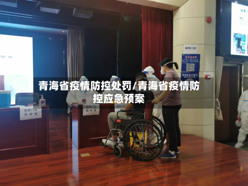 青海省疫情防控处罚/青海省疫情防控应急预案-第3张图片