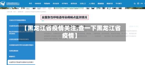 【黑龙江省疫情关注,查一下黑龙江省疫情】-第1张图片