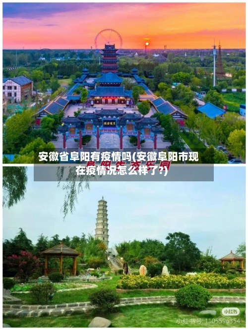 安徽省阜阳有疫情吗(安徽阜阳市现在疫情况怎么样了?)-第2张图片