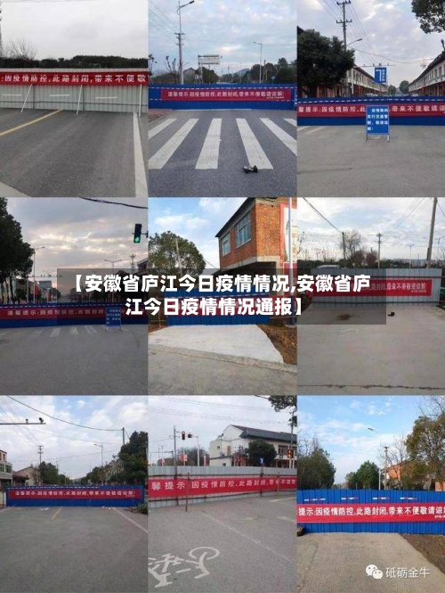 【安徽省庐江今日疫情情况,安徽省庐江今日疫情情况通报】-第2张图片