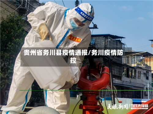 贵州省务川县疫情通报/务川疫情防控-第3张图片