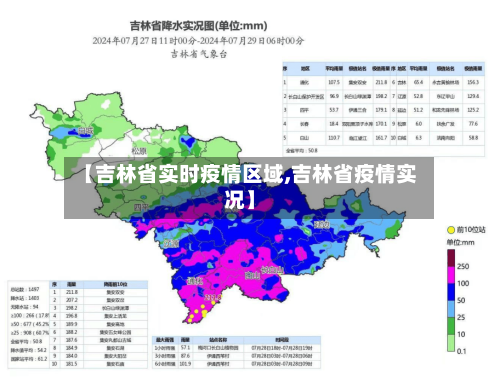 【吉林省实时疫情区域,吉林省疫情实况】-第3张图片
