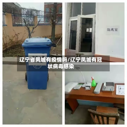 辽宁省凤城有疫情吗/辽宁凤城有冠状病毒感染-第1张图片