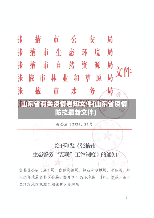 山东省有关疫情通知文件(山东省疫情防控最新文件)-第2张图片