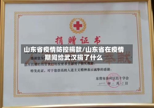 山东省疫情防控捐款/山东省在疫情期间给武汉捐了什么-第2张图片