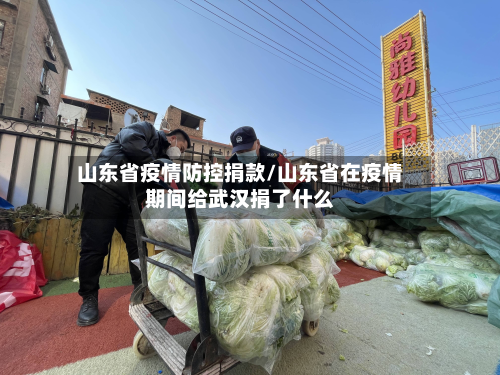 山东省疫情防控捐款/山东省在疫情期间给武汉捐了什么-第1张图片