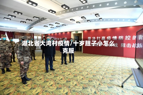 湖北省大湾村疫情/十岁胆子小怎么克服-第2张图片