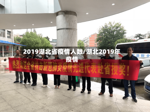 2019湖北省疫情人数/湖北2019年疫情-第1张图片