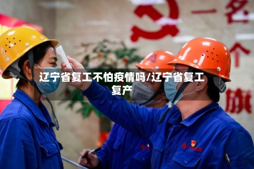辽宁省复工不怕疫情吗/辽宁省复工复产-第1张图片