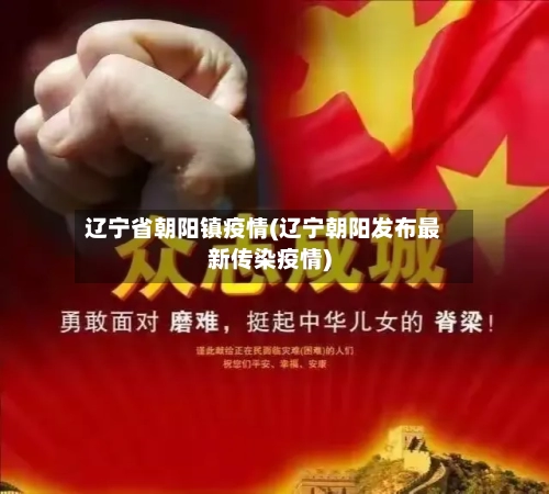 辽宁省朝阳镇疫情(辽宁朝阳发布最新传染疫情)-第2张图片