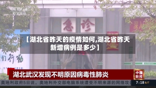 【湖北省昨天的疫情如何,湖北省昨天新增病例是多少】-第2张图片