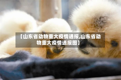 【山东省动物重大疫情通报,山东省动物重大疫情通报图】-第3张图片