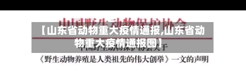 【山东省动物重大疫情通报,山东省动物重大疫情通报图】-第1张图片