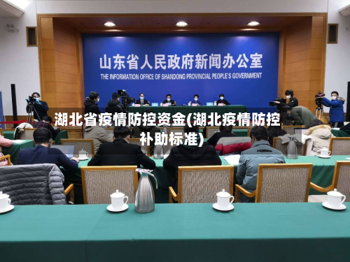 湖北省疫情防控资金(湖北疫情防控补助标准)-第1张图片