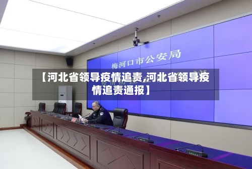 【河北省领导疫情追责,河北省领导疫情追责通报】-第2张图片