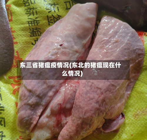 东三省猪瘟疫情况(东北的猪瘟现在什么情况)-第2张图片