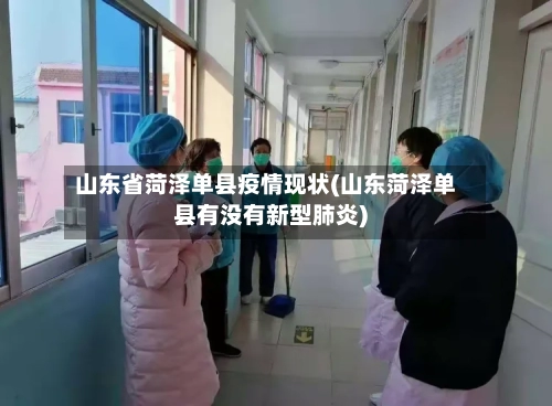 山东省菏泽单县疫情现状(山东菏泽单县有没有新型肺炎)-第2张图片