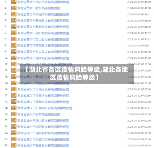 【湖北省各区疫情风险等级,湖北各地区疫情风险等级】-第1张图片