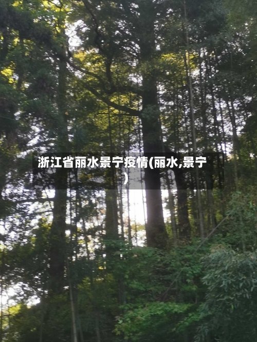 浙江省丽水景宁疫情(丽水,景宁)-第2张图片