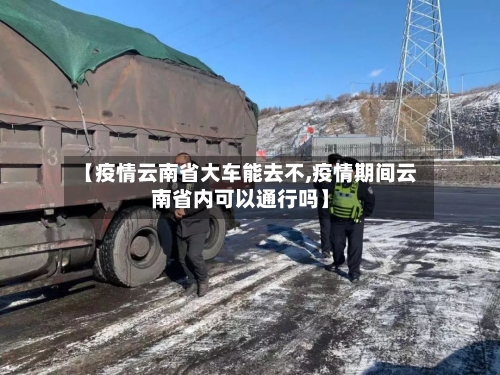 【疫情云南省大车能去不,疫情期间云南省内可以通行吗】-第2张图片