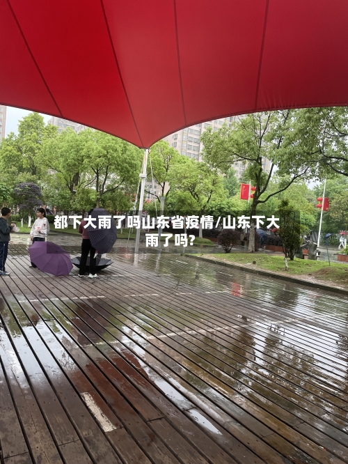 都下大雨了吗山东省疫情/山东下大雨了吗?-第1张图片